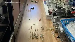 🌍💥 SHAKEN NOT STIRRED! 4.6 Magnitude Earthquake Rocks Santa Cruz Mountains – Bay